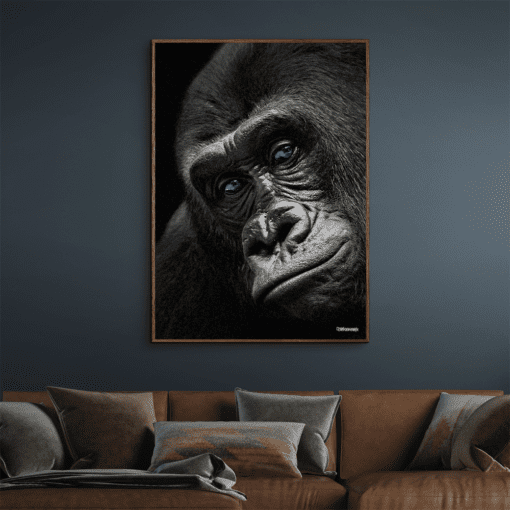 Close-Front-Gorilla-Mørke-Brun-Eg-Plakatramme